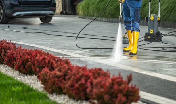Best Parking Lot and Garage Cleaning  in Renville, MN